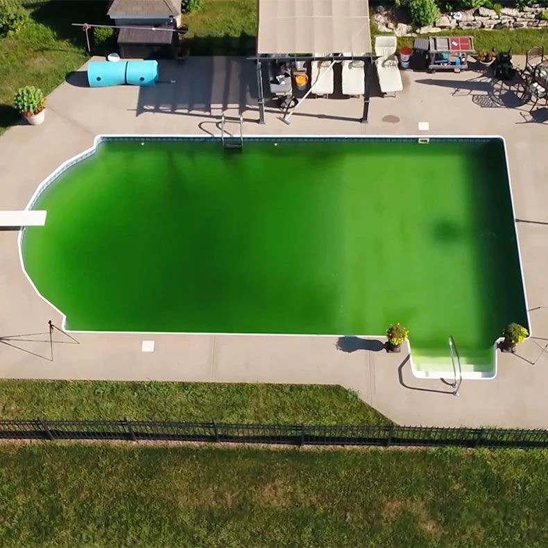 Coral Seas Green Aid - Image 2