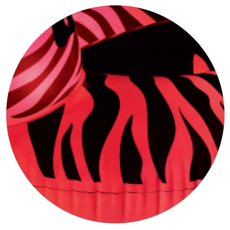 Bestway 41406E H2OGO Lights 'n Stripes Zebra Float - Image 14