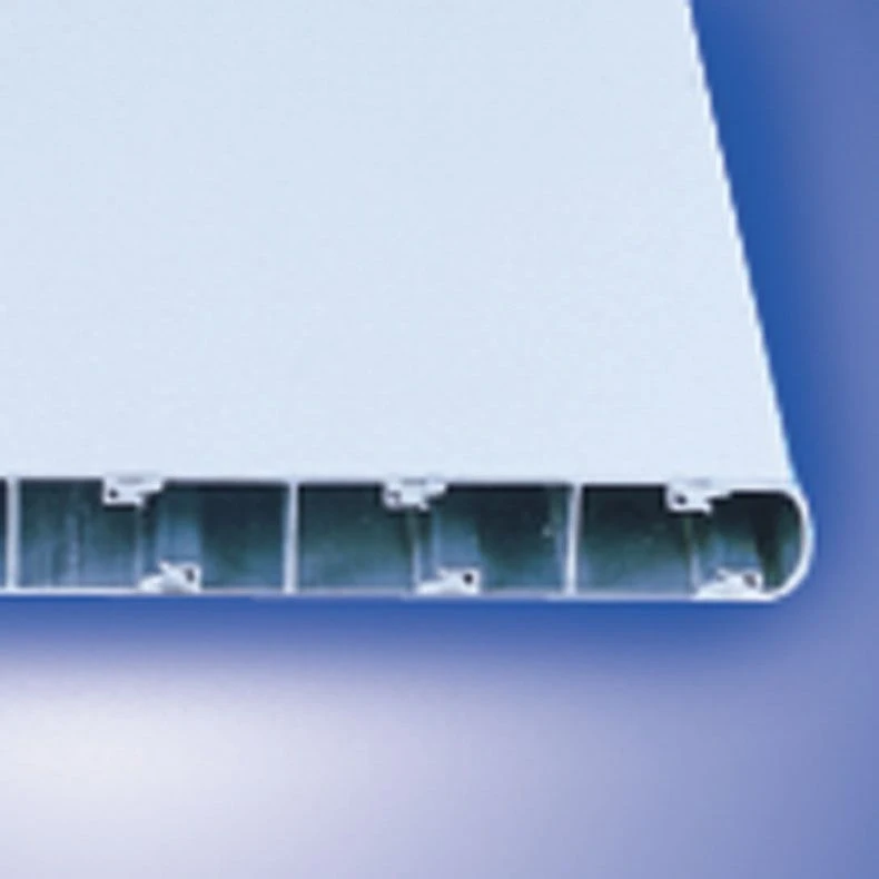 SR Smith Olympian Aluminum Diving Boards - Image 2