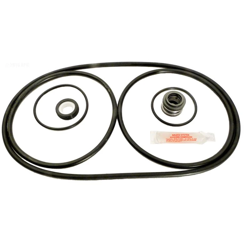 Pentair APCK1046 Challenger Go Kit