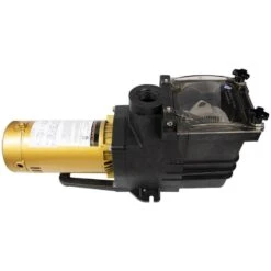 Doheny's Pool Pro Plus Inground Pump, 1.5 HP 115/230V